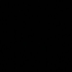 Meet your Posher, Faith